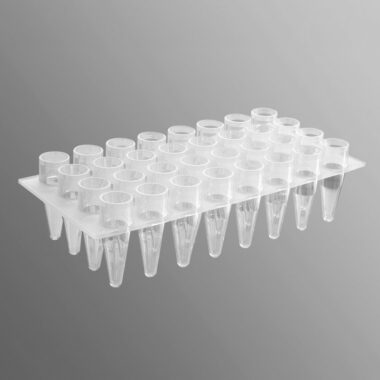 32 Well Polypropylene PCR Microplate, Clear, Nonsterile