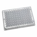 Planet-Safe 96 Well Flat Bottom Microplates