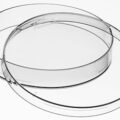 Planet-Safe® Cell Culture Dishes, 100 x 15mm, 375/cs