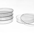 Planet-Safe® Cell Culture Dishes, 100 x 15mm, 375/cs