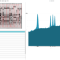 Phoretix1D - Automatic SDS PAGE and Western Blot Analysis Software