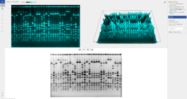 Phoretix1D - Automatic SDS PAGE and Western Blot Analysis Software