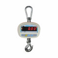 SHS Crane Scales: 300kg Capacity