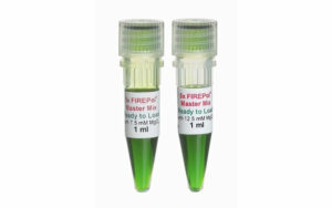 Standard PCR Polymerases