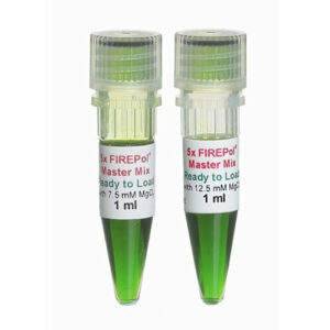 Standard PCR Polymerases