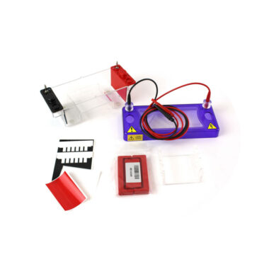 Individual Student Agarose Electrophoresis System