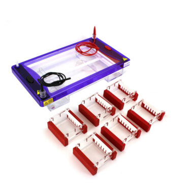 6 Student Agarose Electrophoresis System