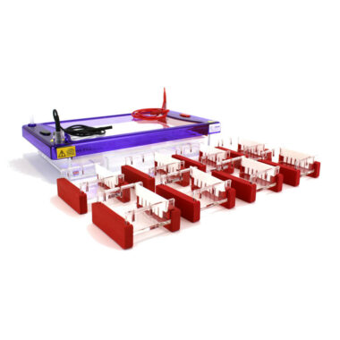 8 Student Agarose Electrophoresis System