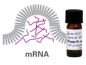 Transfection Reagents 1