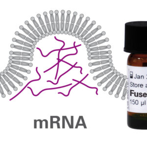 Transfection Reagents