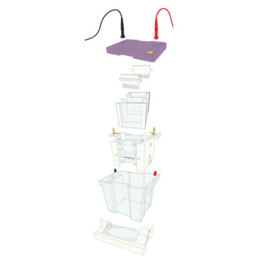 omniPAGE Mini TETRAD, Vertical Electrophoresis for 4 Handcast Gels