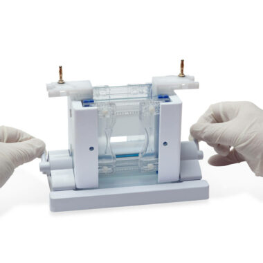 omniPAGE Mini TETRAD, Vertical Electrophoresis for 4 Handcast Gels