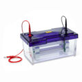 omniPAGE Mini Wide Vertical Protein Electrophoresis System