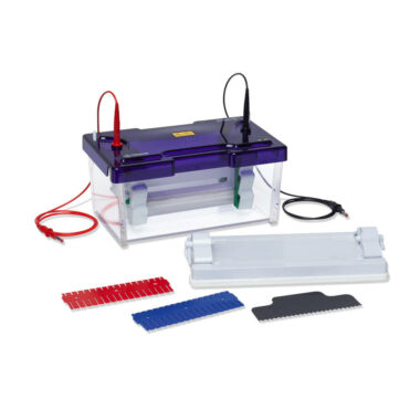 omniPAGE Mini Wide Vertical Protein Electrophoresis System