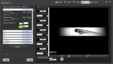 Athena Zebrafish Image Analysis Software
