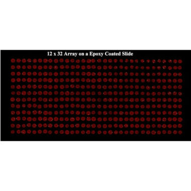 Glass Slide Indexing System for making manual Microarrays using a VP 478 or a VP 478A Replicator