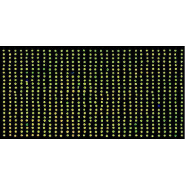 Glass Slide Indexing System for making manual Microarrays using a VP 478 or a VP 478A Replicator