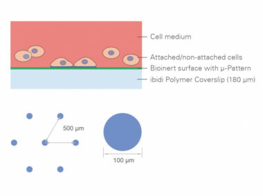 µ-Slides With Multi-Cell µ-Pattern