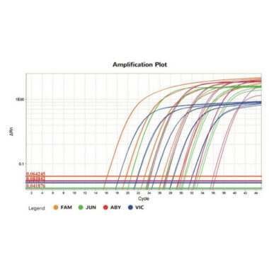 SOLIScript 1-step Multiplex Probe Kit