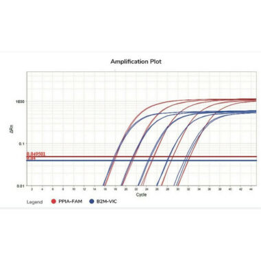 SOLIScript 1-step Probe Kit