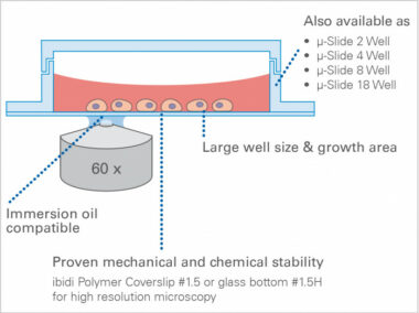 µ-Slide 1 Well Glass Bottom