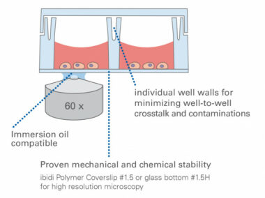 µ-Slide 8 Well High Glass Bottom