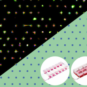 Micropatterning Slides