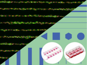  Slides With Test Patterns 3