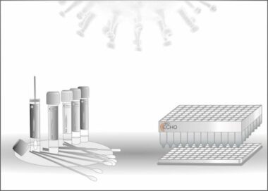 EchoLUTION Viral RNA/DNA Swab 48 Kit Plus