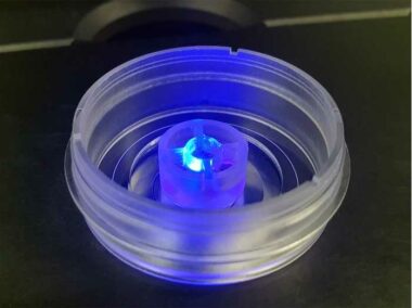 micro-Insert 3D in µ-Dish 35 mm, high ibiTreat: ready-to-use, tissue culture-treated, sterilized, individually packed